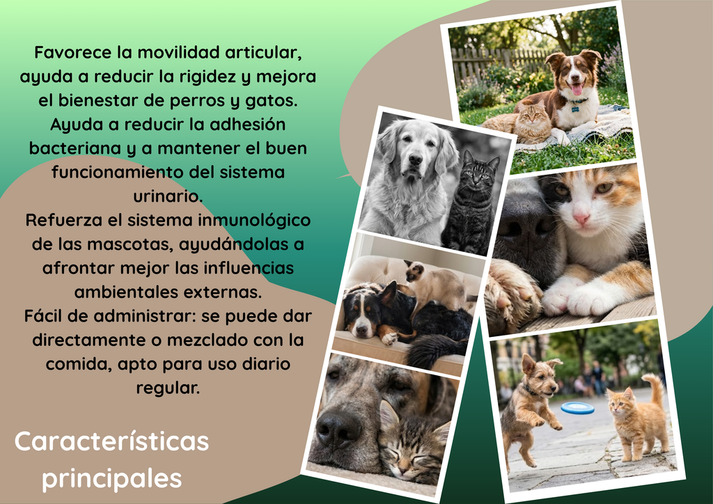 Multivitamin drops for dogs and cats.