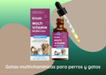 Multivitamin drops for dogs and cats.