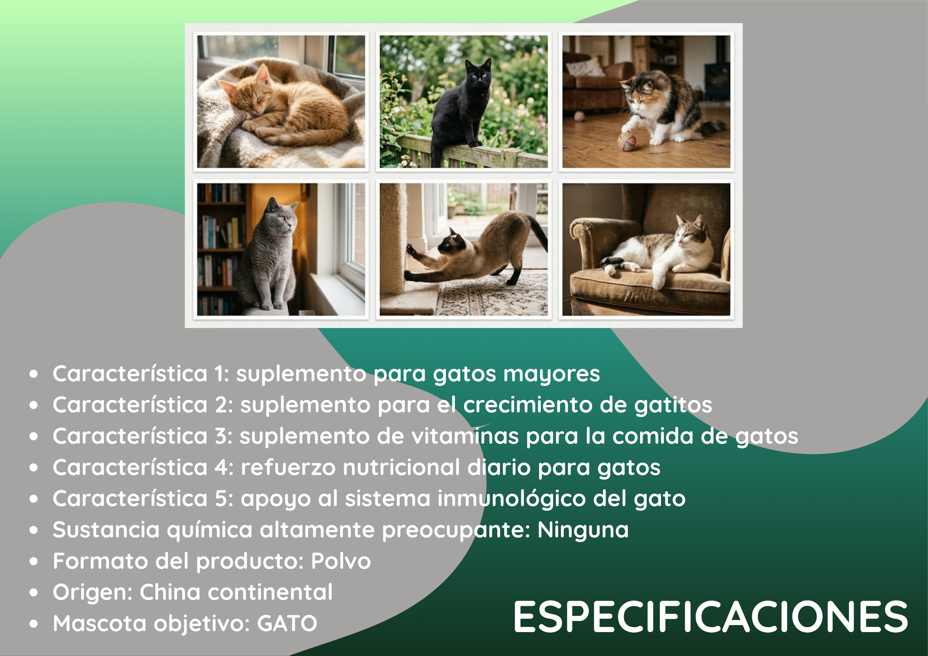 Suplemento en polvo todo en uno para la salud felina