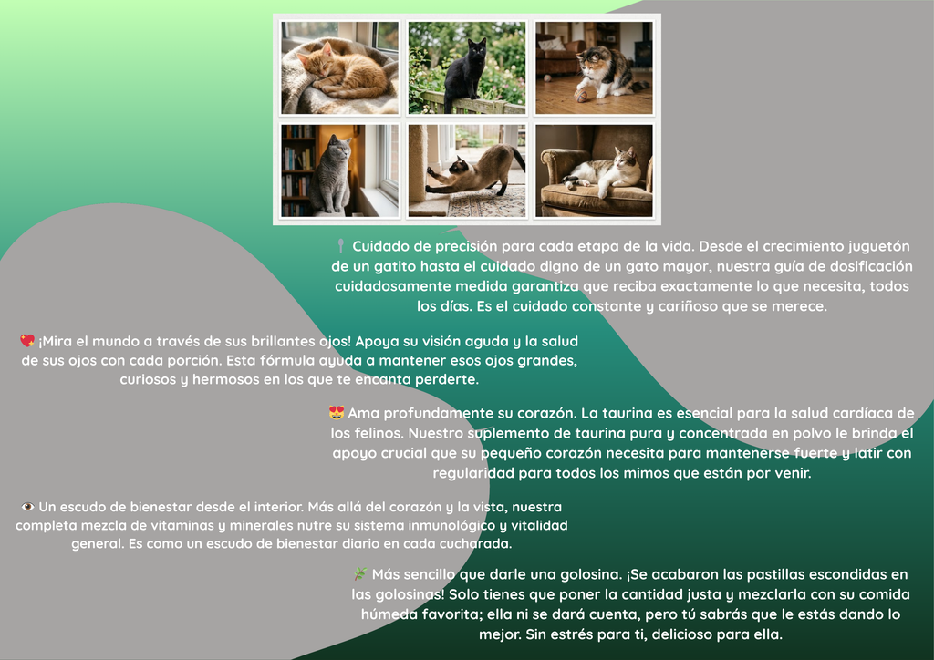 Suplemento en polvo todo en uno para la salud felina