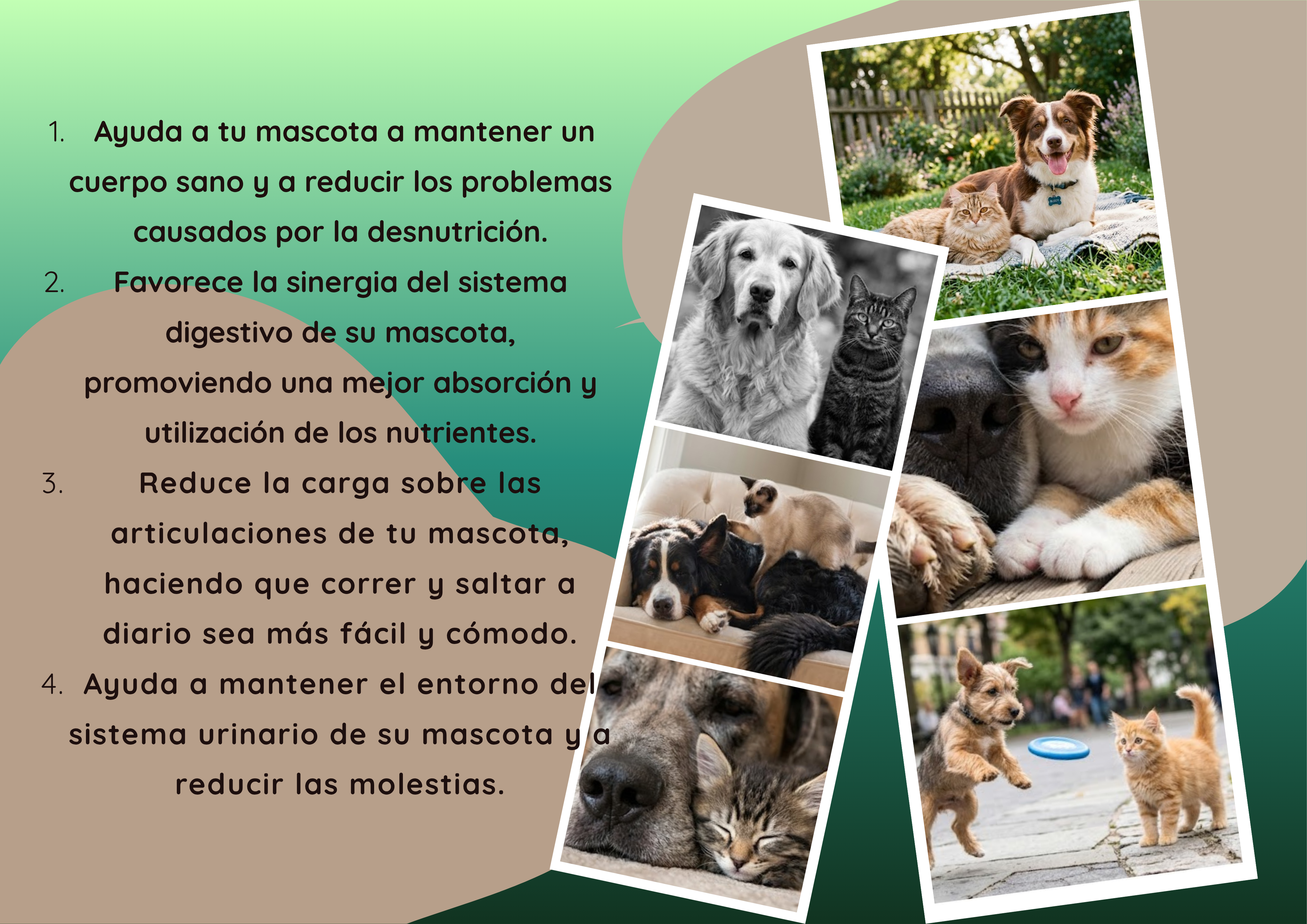 Multivitamin drops for dogs and cats.