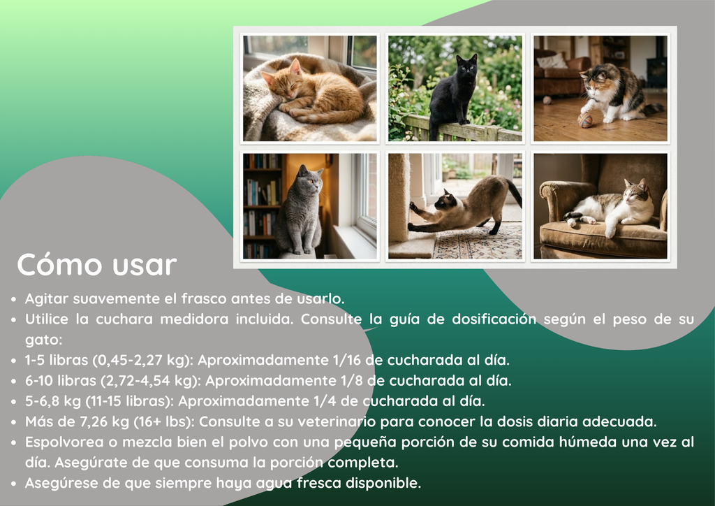 Suplemento en polvo todo en uno para la salud felina