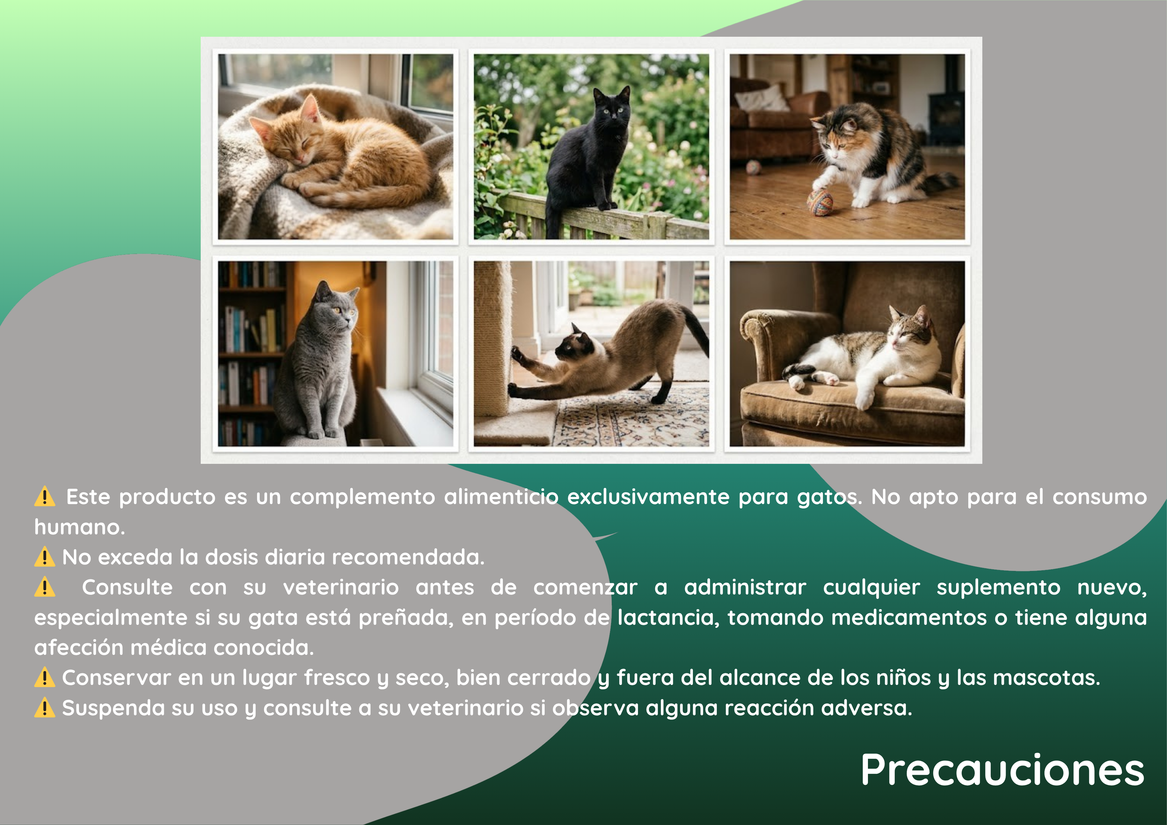 Suplemento en polvo todo en uno para la salud felina